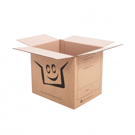 20 cartons livres +1 adhésif gratuit - CartonDemenagement.com