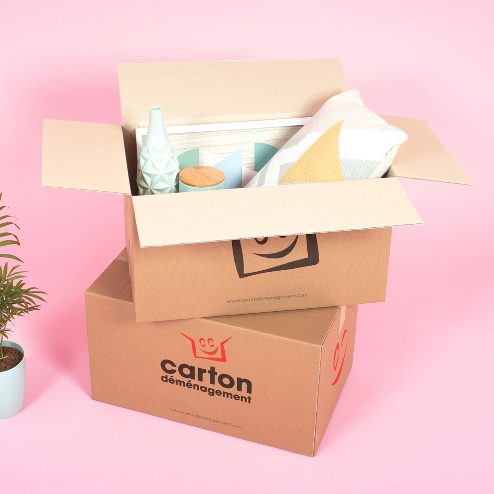 20 cartons standards + adhésif offert-CartonDemenagement