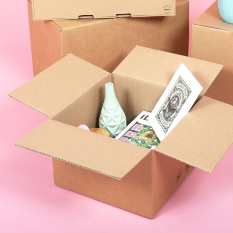 Petit carton double épaisseur renforcé - CartonDemenagement.com