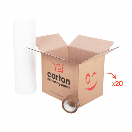 Lot de 20 cartons d'expédition 30 x 20 x 20 CM carton déménagement