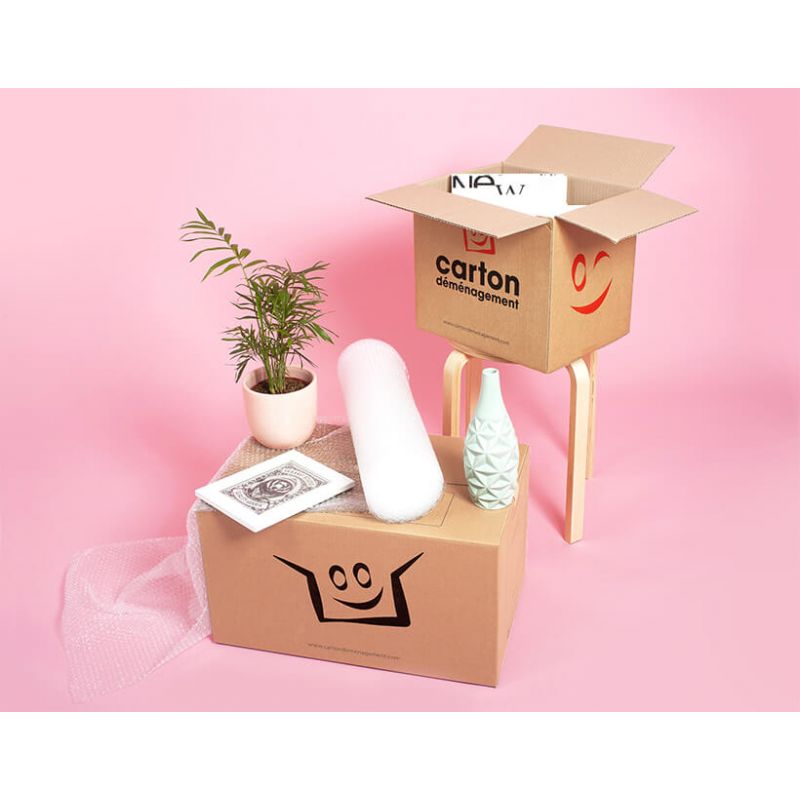 Kit carton déménagement T3-T4 et 3 adhésifs gratuits - Cdiscount Bricolage