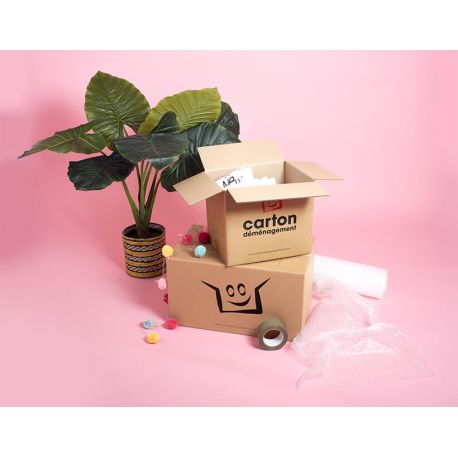 Kit déménagement T5 - T6