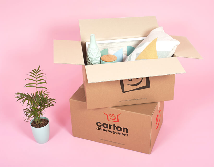 Cartons vaisselle de qualité supérieure - Emballage adapté à vos besoins