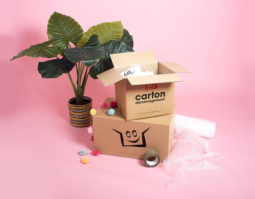 Kit cartons déménagement T5/T6